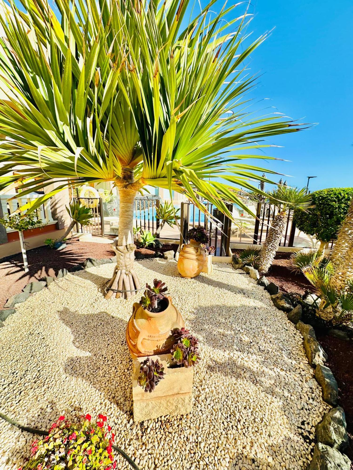 El Nautico Apartment San Miguel de Abona Eksteriør bilde