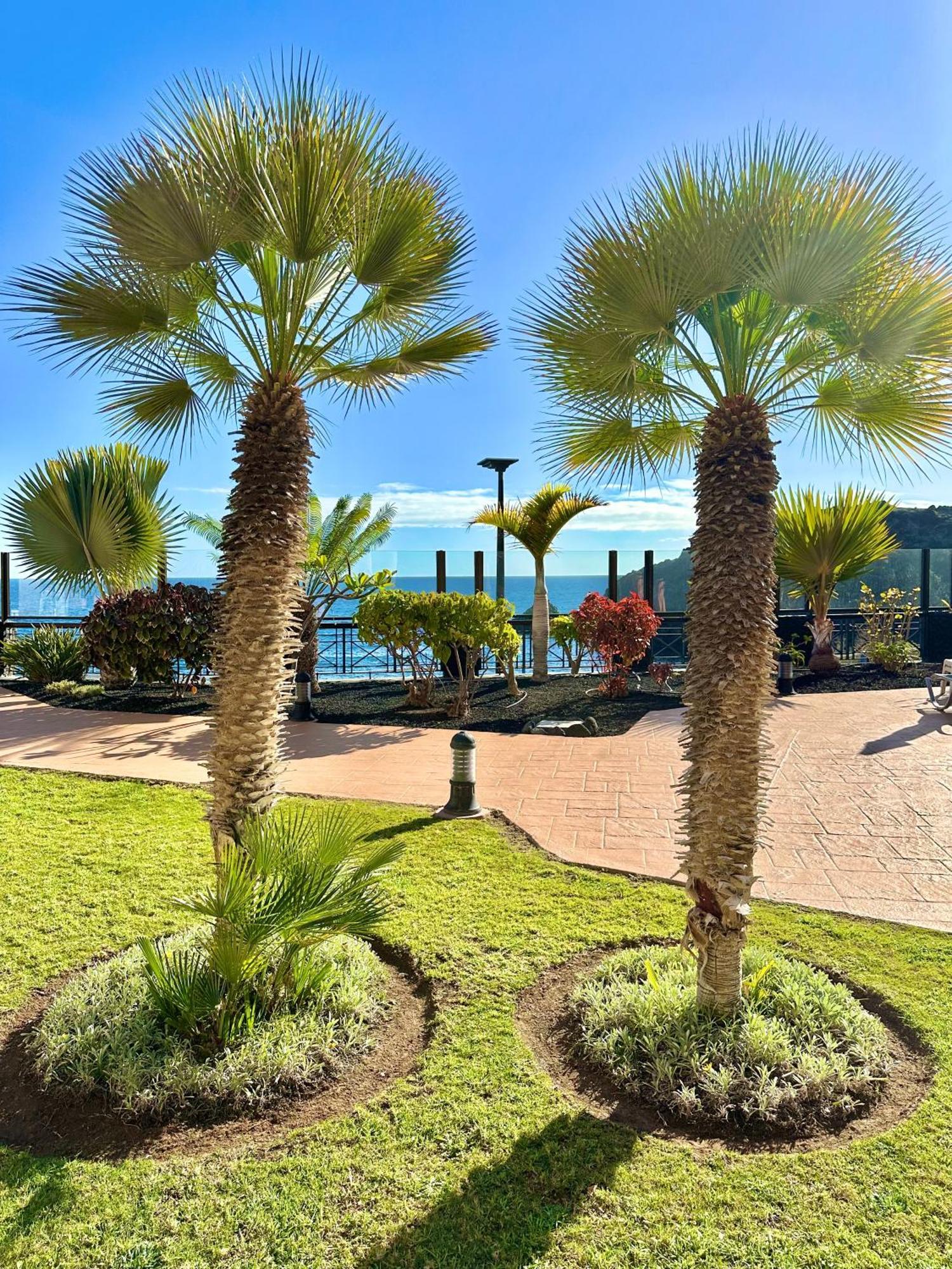 El Nautico Apartment San Miguel de Abona Eksteriør bilde